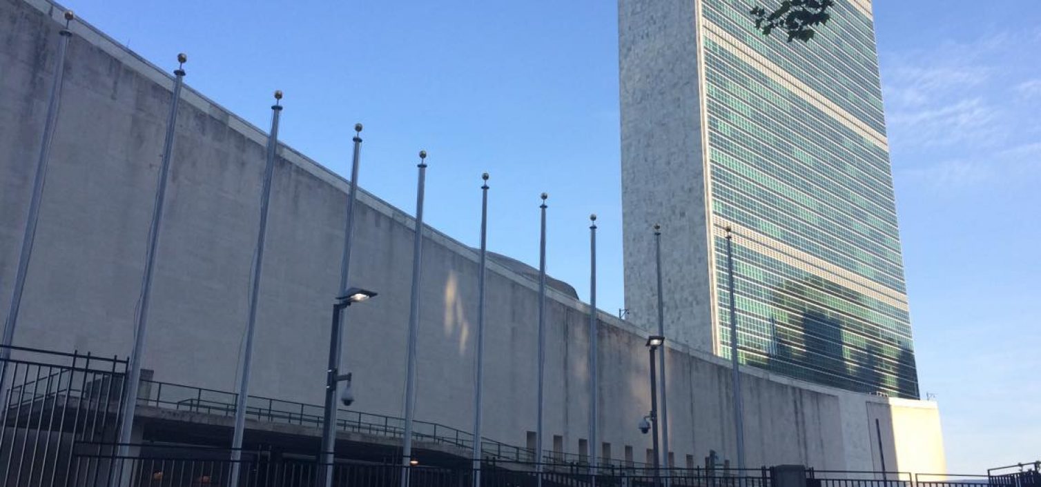 Pirates at the United Nations