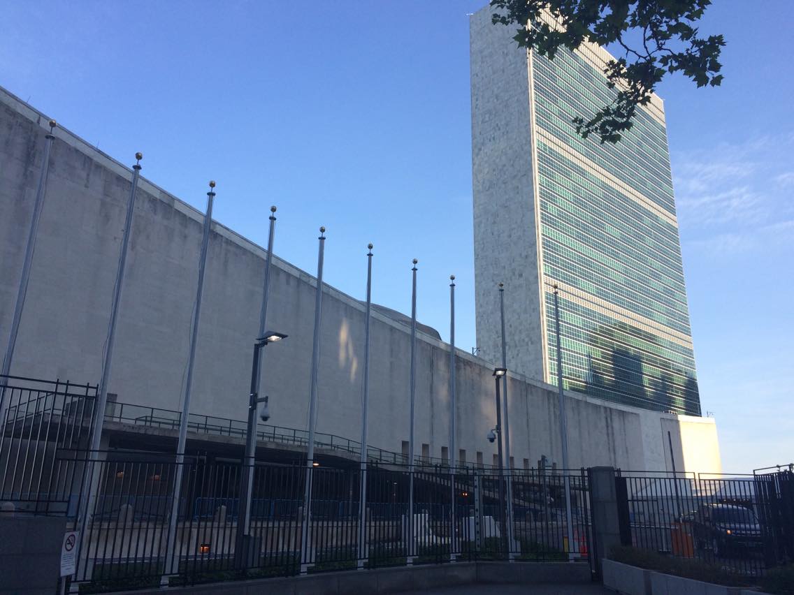 Pirates at the United Nations