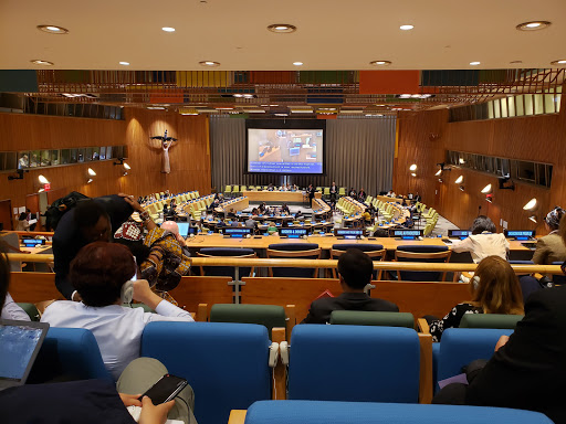 Speech at the 2019 UN ECOSOC High-Level Segment