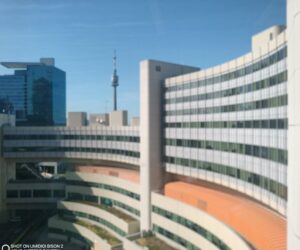 Reviewing Our United Nations Activities