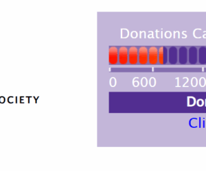 Netting for Ukraine: A Project of the Pirate Party of the Netherlands