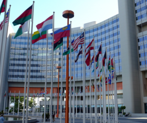 Reviewing Our United Nations Activities