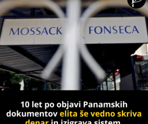 10 Years Since the Publication of the Panama Papers