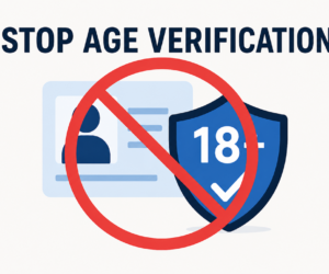 Age Verification Enforcement Concerns