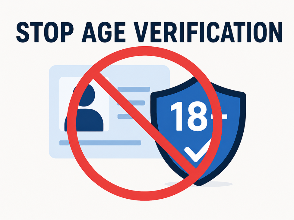 Age Verification Enforcement Concerns